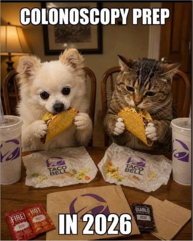 caturday prep majorgeeks.jpg